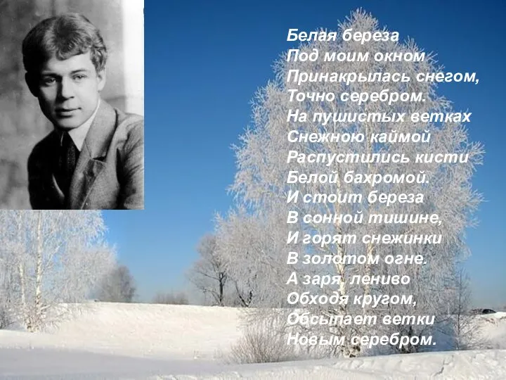 Белая береза Под моим окном Принакрылась снегом, Точно серебром. На пушистых ветках