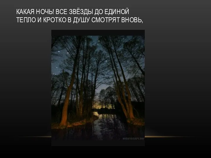 КАКАЯ НОЧЬ! ВСЕ ЗВЁЗДЫ ДО ЕДИНОЙ ТЕПЛО И КРОТКО В ДУШУ СМОТРЯТ ВНОВЬ,