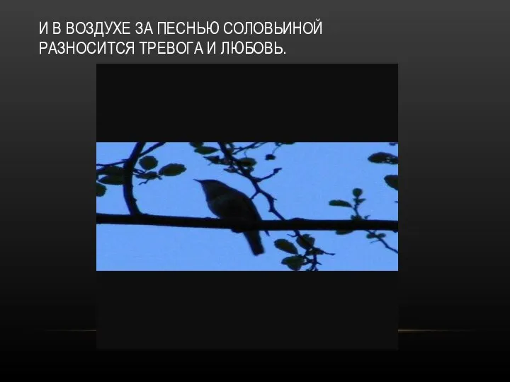 И В ВОЗДУХЕ ЗА ПЕСНЬЮ СОЛОВЬИНОЙ РАЗНОСИТСЯ ТРЕВОГА И ЛЮБОВЬ.