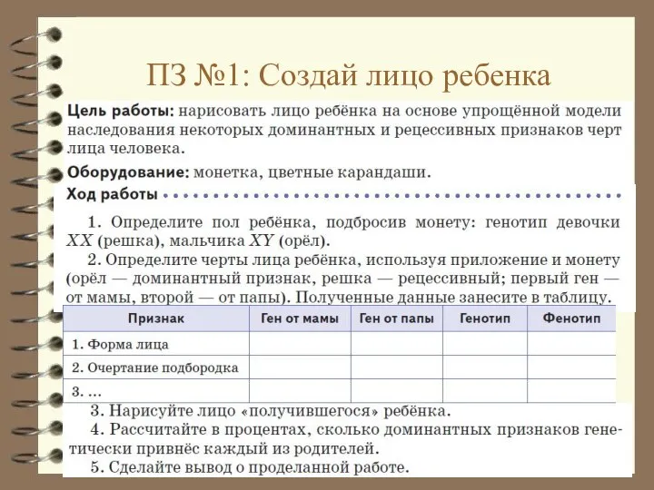 ПЗ №1: Создай лицо ребенка