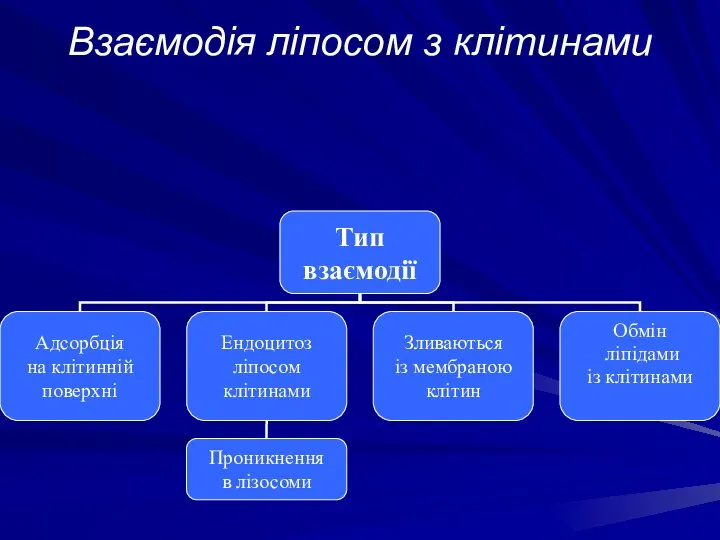 Взаємодія ліпосом з клітинами