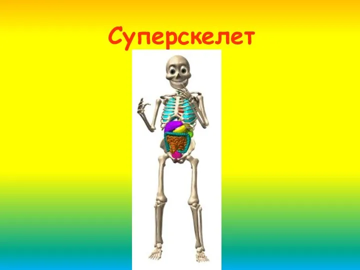 Суперскелет