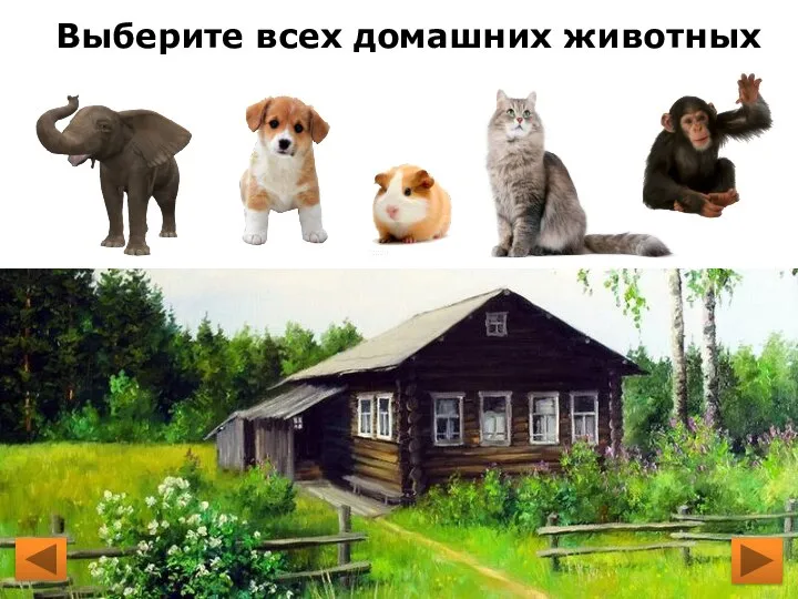 Выберите всех домашних животных
