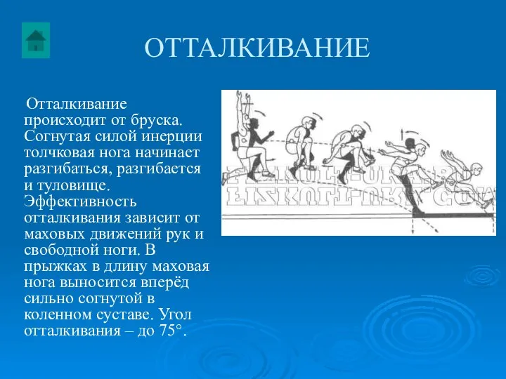 ОТТАЛКИВАНИЕ Отталкивание происходит от бруска. Согнутая силой инерции толчковая нога начинает разгибаться,