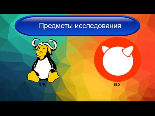 GNU BSD Предметы исследования