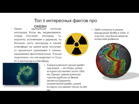 Топ 3 интересных фактов про океан Океан - крупнейший источник кислорода. Когда