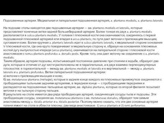 Подошвенные артерии. Медиальная и латеральная подошвенная артерия, a. plantares medialis, a. plantares