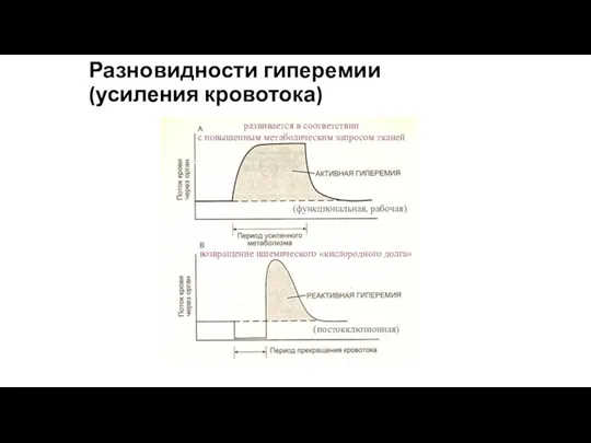 Разновидности гиперемии (усиления кровотока) (функциональная, рабочая) (постокклюзионная) развивается в соответствии с повышенным