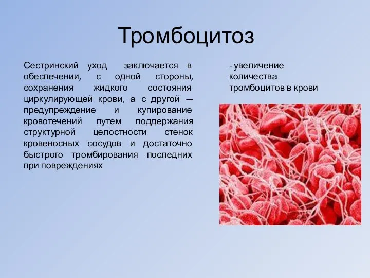 Тромбоцитоз Сестринский уход заключается в обеспечении, с одной стороны, сохранения жидкого состояния