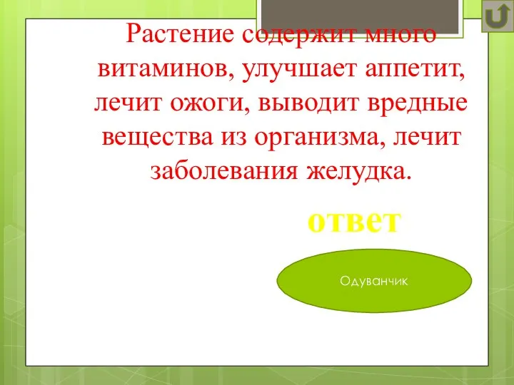 Растение содержит много витаминов, улучшает аппетит, лечит ожоги, выводит вредные вещества из