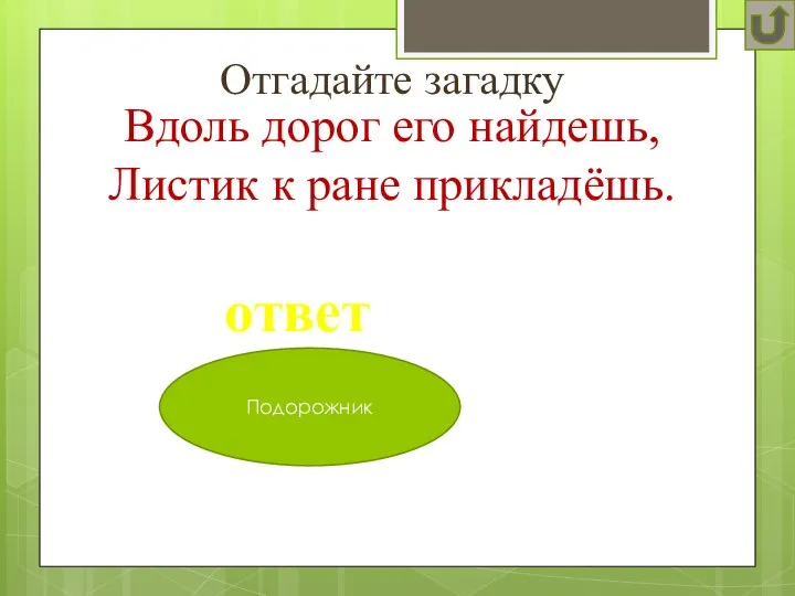 Отгадайте загадку ответ Вдоль дорог его найдешь, Листик к ране прикладёшь. Подорожник