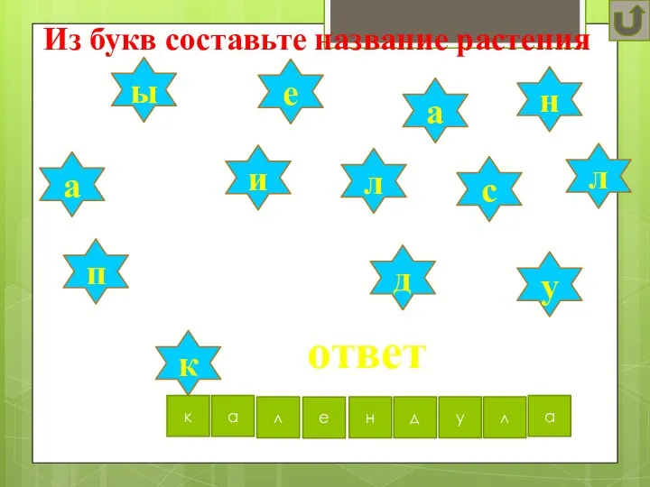 ответ Из букв составьте название растения ы к л и а л