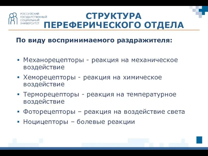 По виду воспринимаемого раздражителя: Механорецепторы - реакция на механическое воздействие Хеморецепторы -