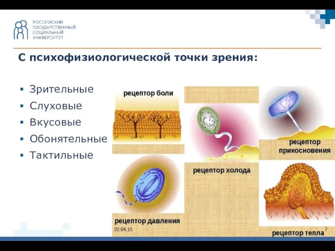 С психофизиологической точки зрения: Зрительные Слуховые Вкусовые Обонятельные Тактильные