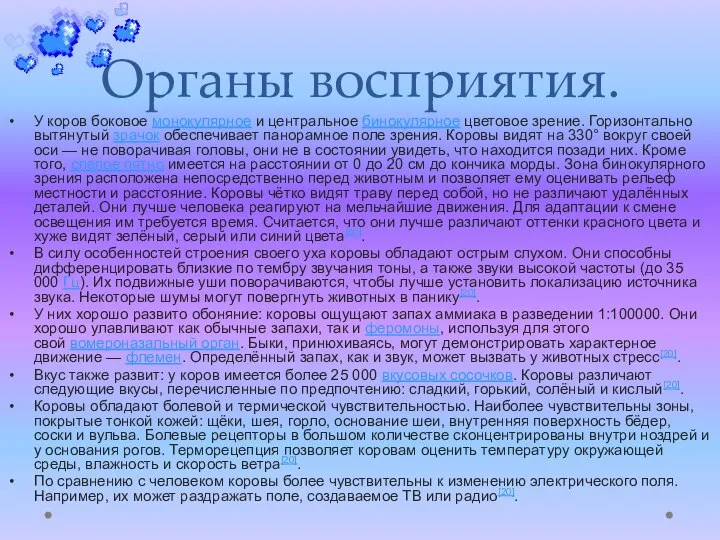 Органы восприятия. У коров боковое монокулярное и центральное бинокулярное цветовое зрение. Горизонтально