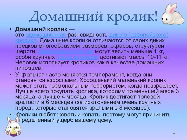 Домашний кролик! Домашний кролик — это одомашненная разновидность дикого (европейского) кролика. Домашние