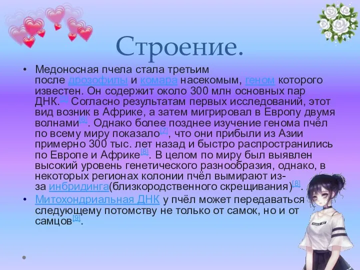 Строение. Медоносная пчела стала третьим после дрозофилы и комара насекомым, геном которого