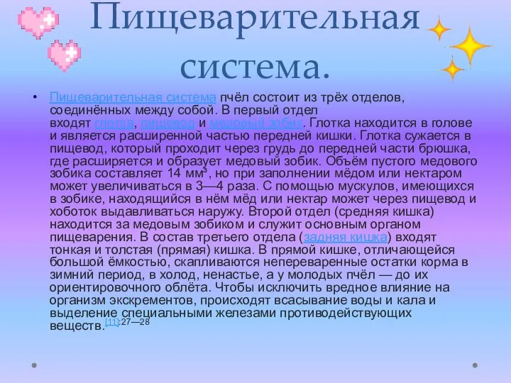 Пищеварительная система. Пищеварительная система пчёл состоит из трёх отделов, соединённых между собой.