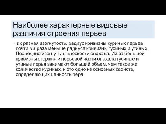 Наиболее характерные видовые различия строения перьев их разная изогнутость: радиус кривизны куриных