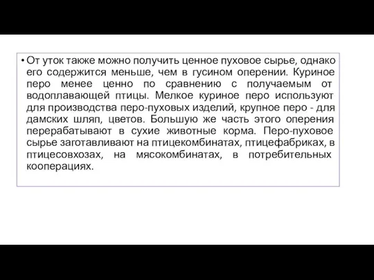 От уток также можно получить ценное пуховое сырье, однако его содержится меньше,