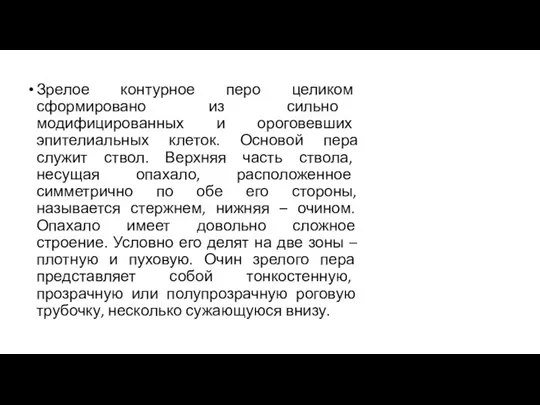 Зрелое контурное перо целиком сформировано из сильно модифицированных и ороговевших эпителиальных клеток.