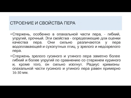 СТРОЕНИЕ И СВОЙСТВА ПЕРА Стержень, особенно в опахальной части пера, - гибкий,