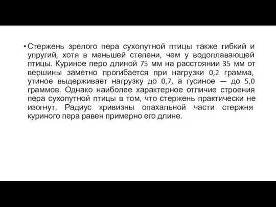 Стержень зрелого пера сухопутной птицы также гибкий и упругий, хотя в меньшей