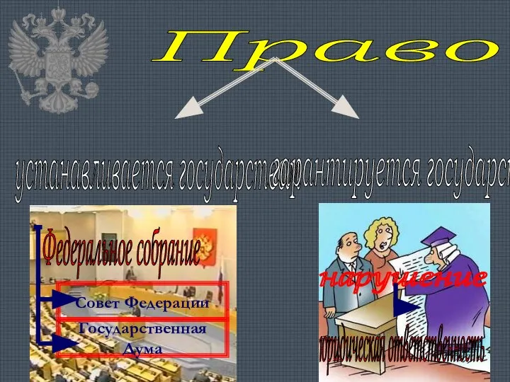 Право устанавливается государством гарантируется государством Федеральное собрание Совет Федерации Государственная Дума нарушение юридическая ответственность