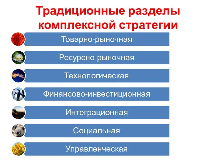 Традиционные разделы комплексной стратегии