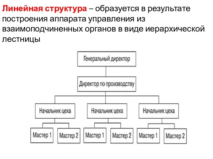 Линейная структура – образуется в результате построения аппарата управления из взаимоподчиненных органов в виде иерархической лестницы