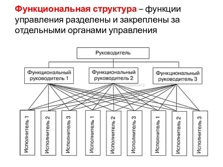 Функциональная структура – функции управления разделены и закреплены за отдельными органами управления