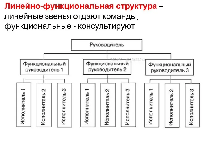 Линейно-функциональная структура – линейные звенья отдают команды, функциональные - консультируют