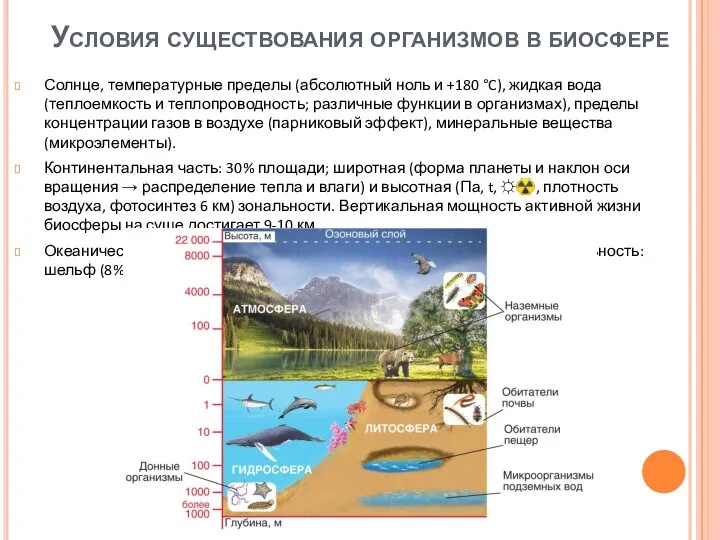 Условия существования организмов в биосфере Солнце, температурные пределы (абсолютный ноль и +180