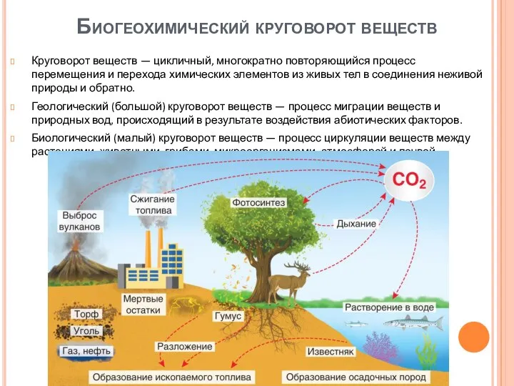 Биогеохимический круговорот веществ Круговорот веществ — цикличный, многократно повторяющийся процесс перемещения и