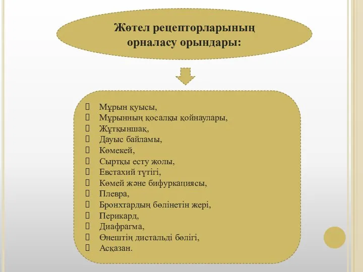 Жөтел рецепторларының орналасу орындары: Мұрын қуысы, Мұрынның қосалқы қойнаулары, Жұтқыншақ, Дауыс байламы,