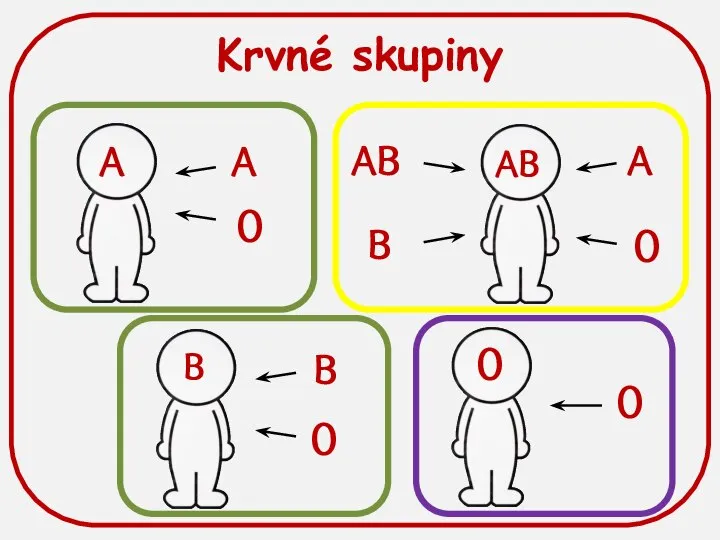 Krvné skupiny A B AB 0 A 0 A 0 AB B 0 0 B