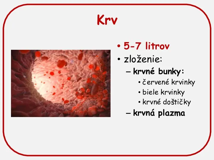 Krv 5-7 litrov zloženie: krvné bunky: červené krvinky biele krvinky krvné doštičky krvná plazma