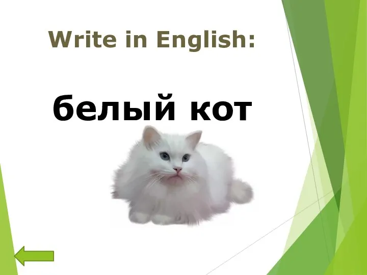 Write in English: белый кот