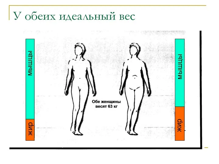 У обеих идеальный вес жир