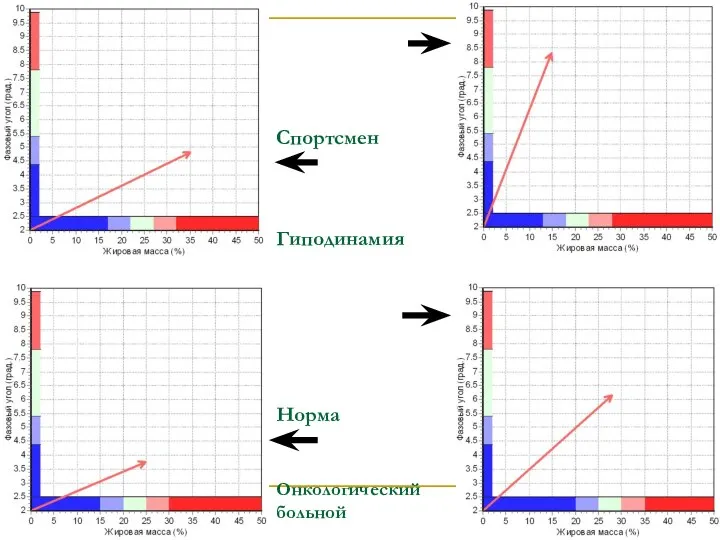 Спортсмен Гиподинамия Норма Онкологический больной