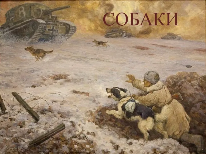 СОБАКИ