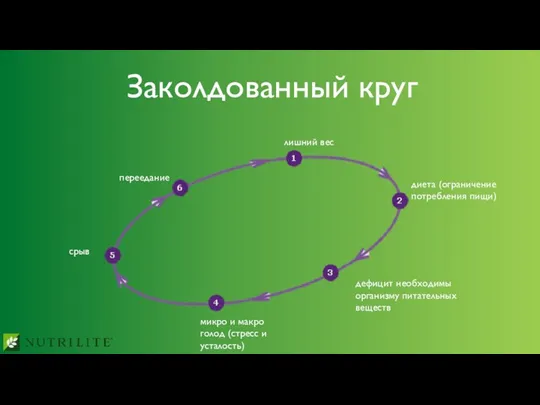 Заколдованный круг лишний вес диета (ограничение потребления пищи) дефицит необходимы организму питательных