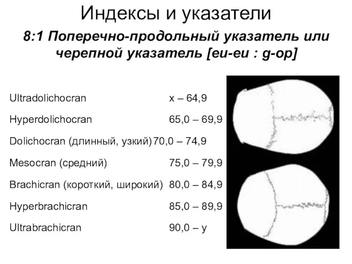 Индексы и указатели 8:1 Поперечно-продольный указатель или черепной указатель [eu-eu : g-op]