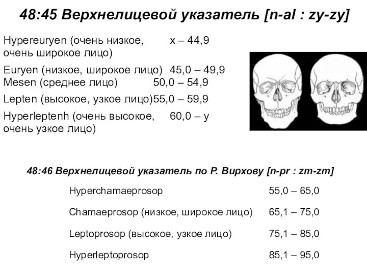 48:45 Верхнелицевой указатель [n-al : zy-zy] 48:46 Верхнелицевой указатель по Р. Вирхову