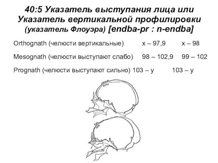 40:5 Указатель выступания лица или Указатель вертикальной профилировки (указатель Флоуэра) [endba-pr :
