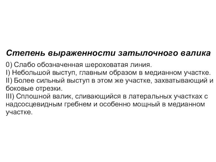 Степень выраженности затылочного валика 0) Слабо обозначенная шероховатая линия. I) Небольшой выступ,