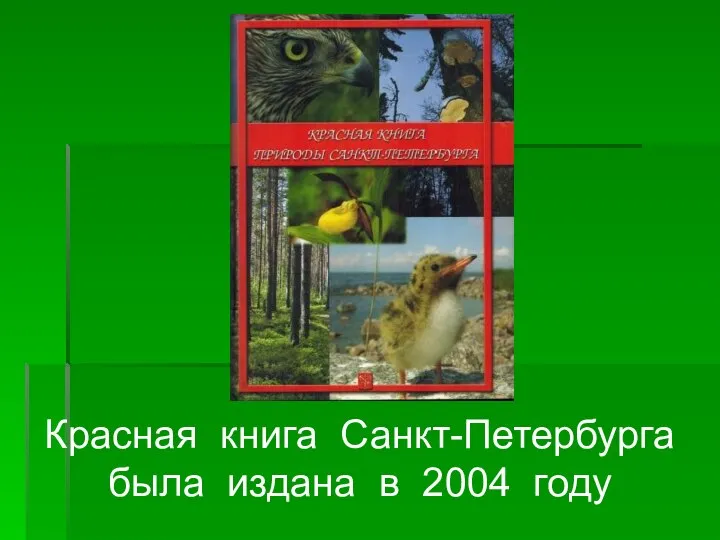 Красная книга Санкт-Петербурга была издана в 2004 году