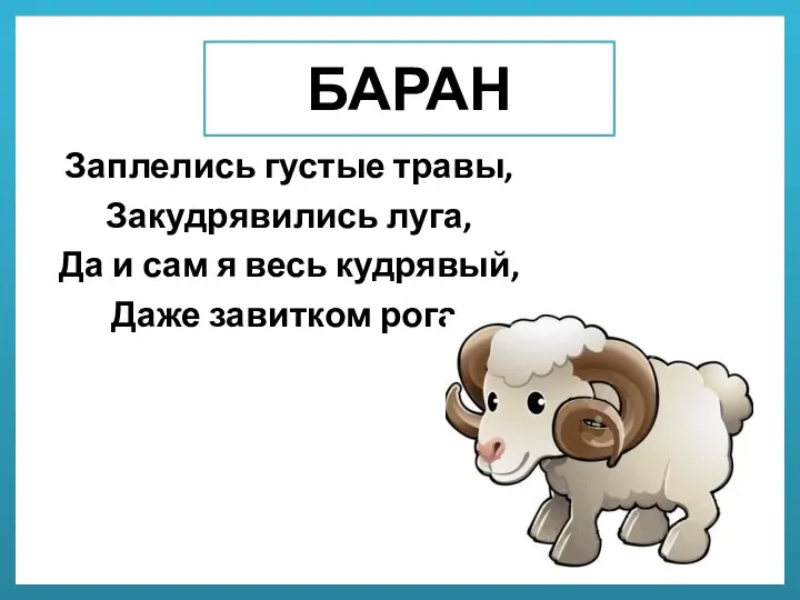 БАРАН Заплелись густые травы, Закудрявились луга, Да и сам я весь кудрявый, Даже завитком рога.