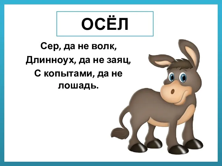 ОСЁЛ Сер, да не волк, Длинноух, да не заяц, С копытами, да не лошадь.