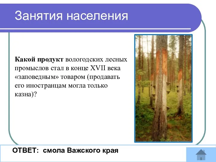 Занятия населения ОТВЕТ: смола Важского края Какой продукт вологодских лесных промыслов стал